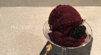 How to make「mulberry sorbet」 　