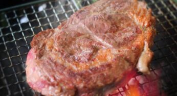 【ヒルナンデス】たけだバーベキューの肉を丸ごとはさむ！わんぱくサンドの作り方など全6品