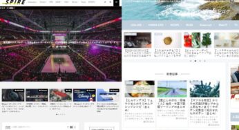 【ブログ・サイト】ドメイン名の選び方！雑記ログと特化サイトの比較！