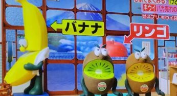 【がっちりマンデー】キウイ！がんばるな！ダンボール箱？